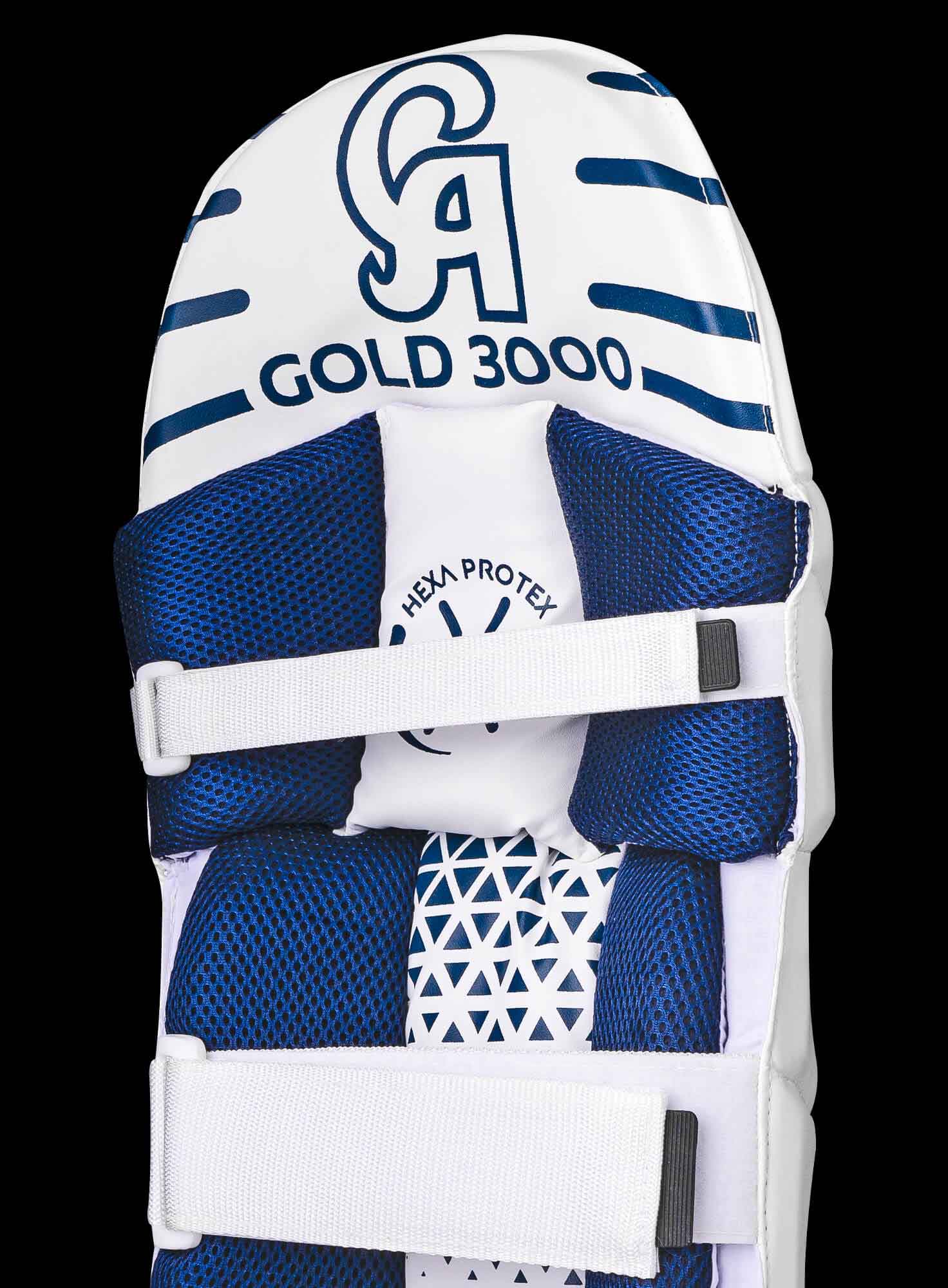Gold 3000