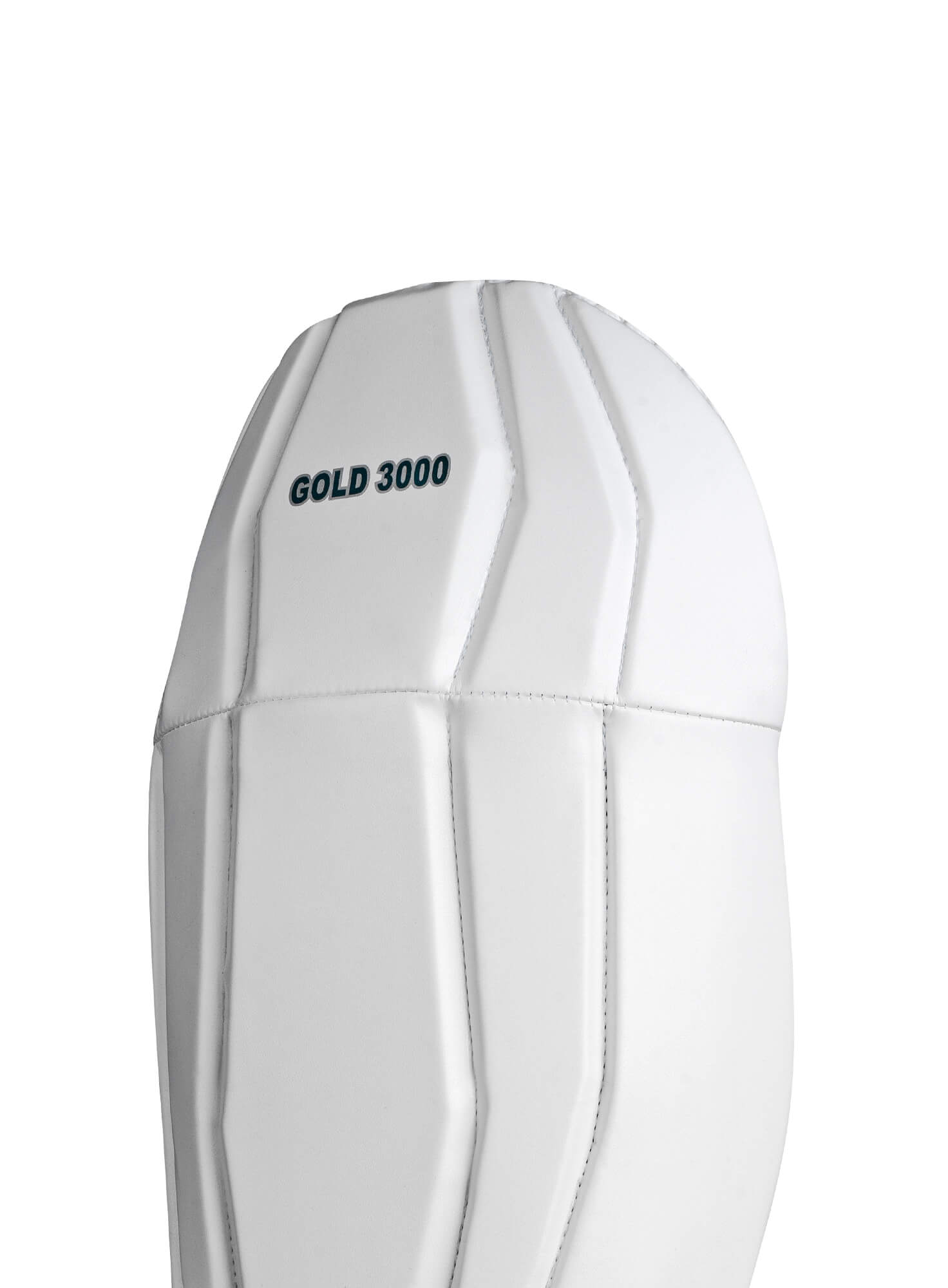Wk Gold 3000